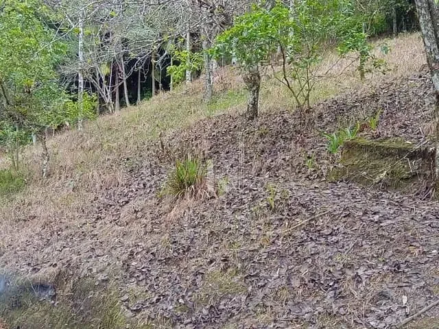 Sítio com 2000m² 1 quarto e 1 banheiro, à venda, no bairro Terra Nova em Tijucas