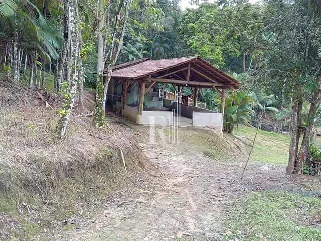 Sítio com 2000m² 1 quarto e 1 banheiro, à venda, no bairro Terra Nova em Tijucas