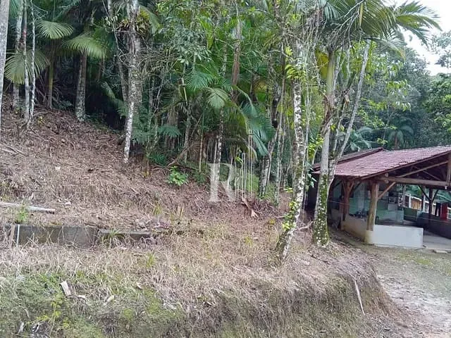 Sítio com 2000m² 1 quarto e 1 banheiro, à venda, no bairro Terra Nova em Tijucas