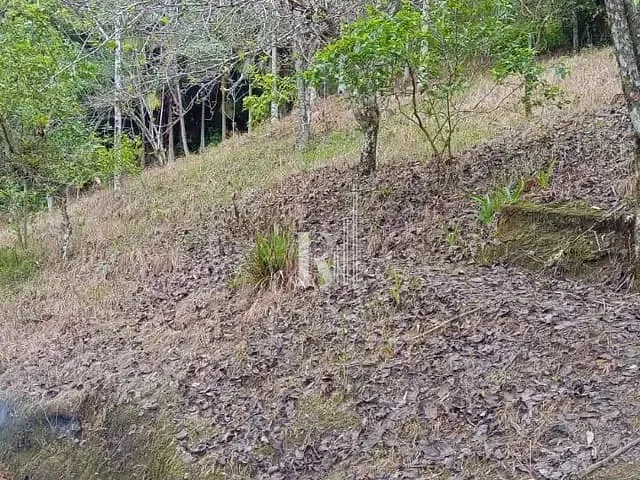 Sítio com 2000m² 1 quarto e 1 banheiro, à venda, no bairro Terra Nova em Tijucas