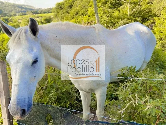 Sítio com 71611m² 3 quartos e 5 banheiros, à venda, no bairro Iara em Atibaia