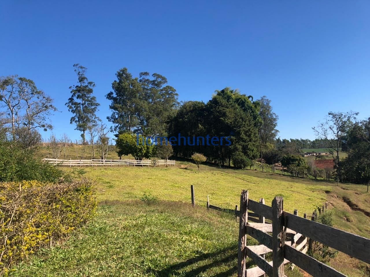 Sítio, 3 quartos, 4 hectares - Foto 5