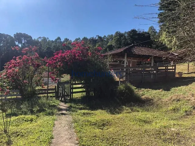 Sítio com 40000m² 3 quartos e 5 banheiros, à venda, no bairro Zona Rural em Caldas