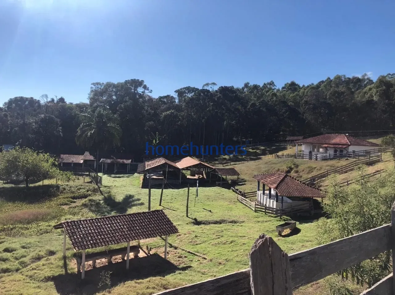 Sítio, 3 quartos, 4 hectares - Foto 7