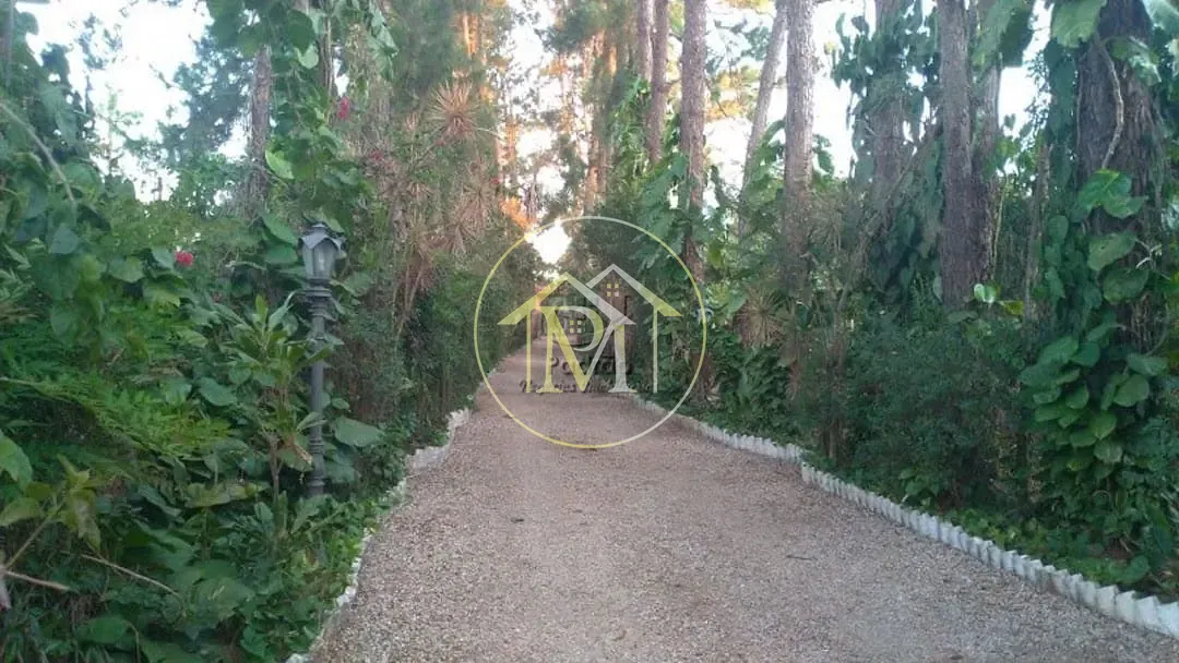 Sítio, 5 quartos, 15 hectares - Foto 30