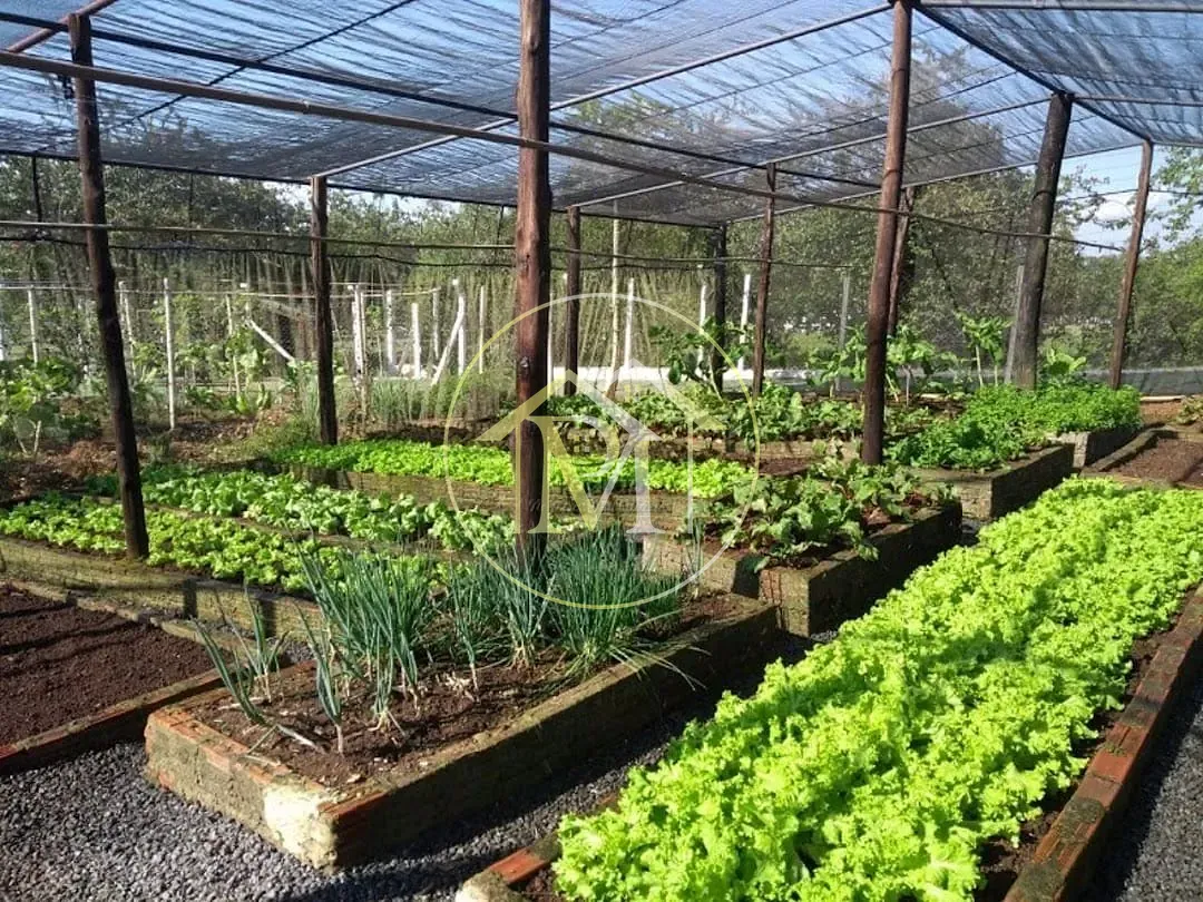 Sítio, 5 quartos, 15 hectares - Foto 29
