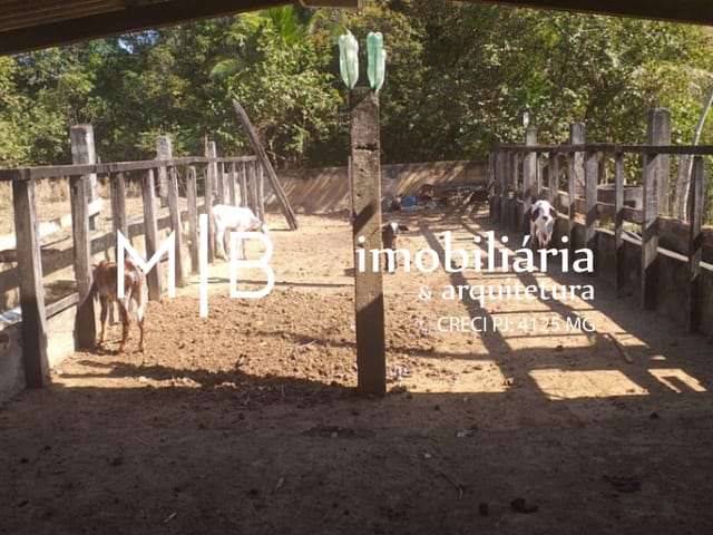 Sítio com 20000m² 3 quartos e 2 banheiros, à venda, no bairro RURAL em CATAGUASES