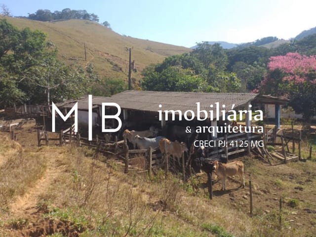 Sítio com 20000m² 3 quartos e 2 banheiros, à venda, no bairro RURAL em CATAGUASES