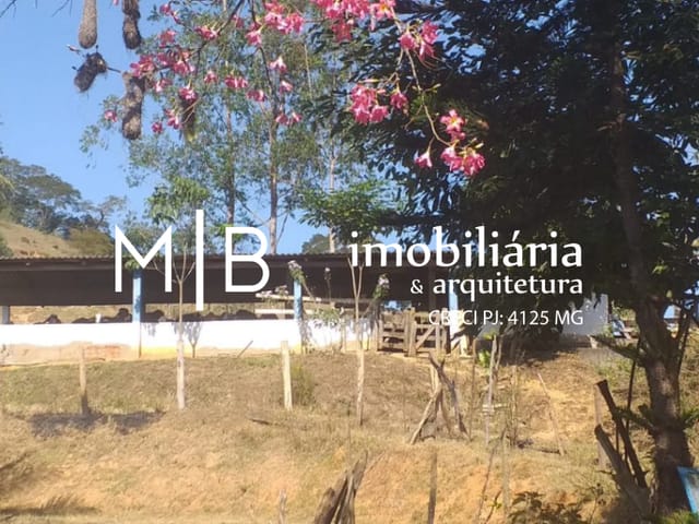 Sítio com 20000m² 3 quartos e 2 banheiros, à venda, no bairro RURAL em CATAGUASES