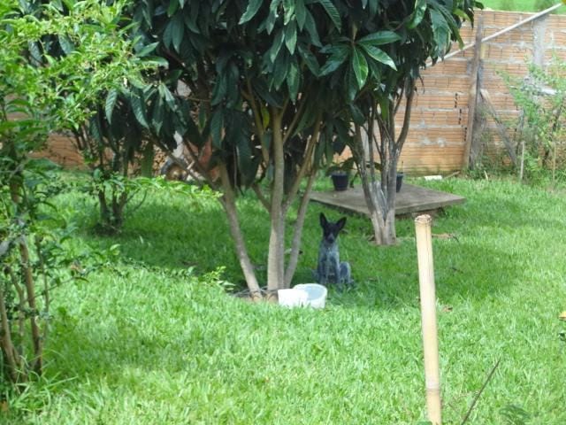 Foto do Sítio - Sítio à venda próximo ao Bairro Vila Betel, Itajubá-MG | MOHALLEM e LOPES CORRETAGEM E ADMINISTRACAO DE IMOVEIS LTDA
