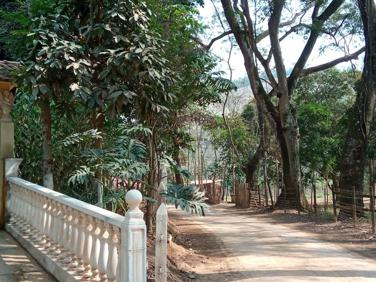 Sítio à venda, ZONA RURAL, Tabuleiro, MG - foto 3
