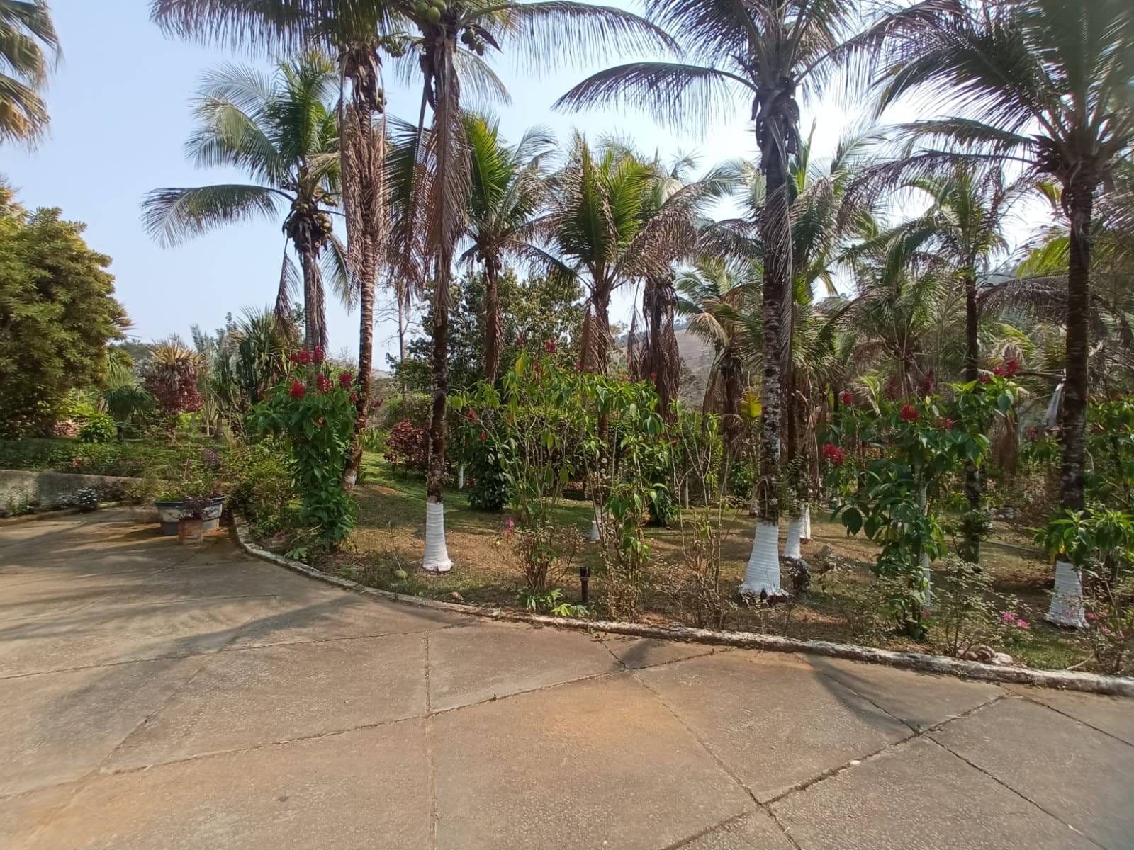 Sítio à venda, ZONA RURAL, Tabuleiro, MG - foto 4