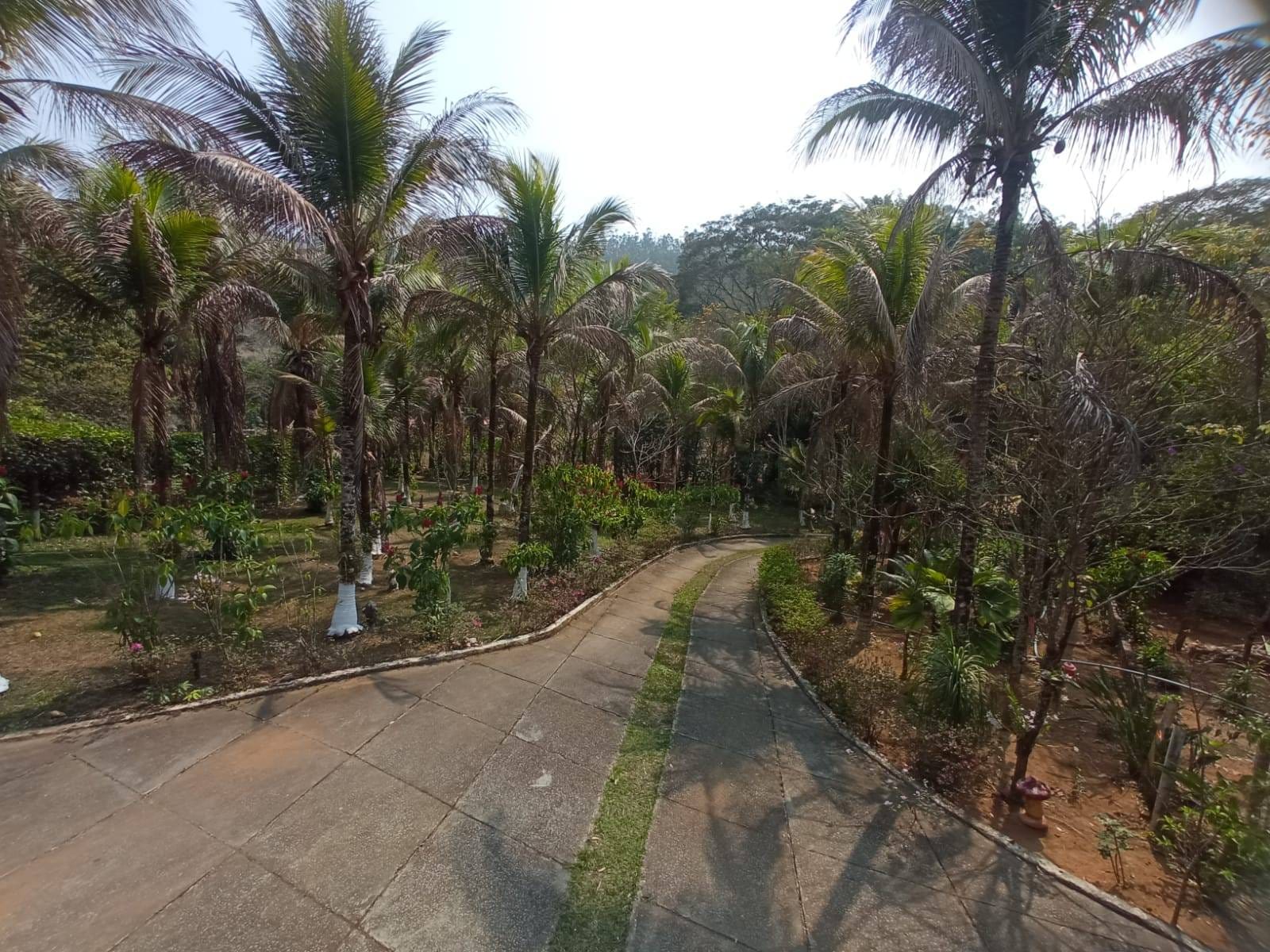 Sítio à venda, ZONA RURAL, Tabuleiro, MG - foto 6
