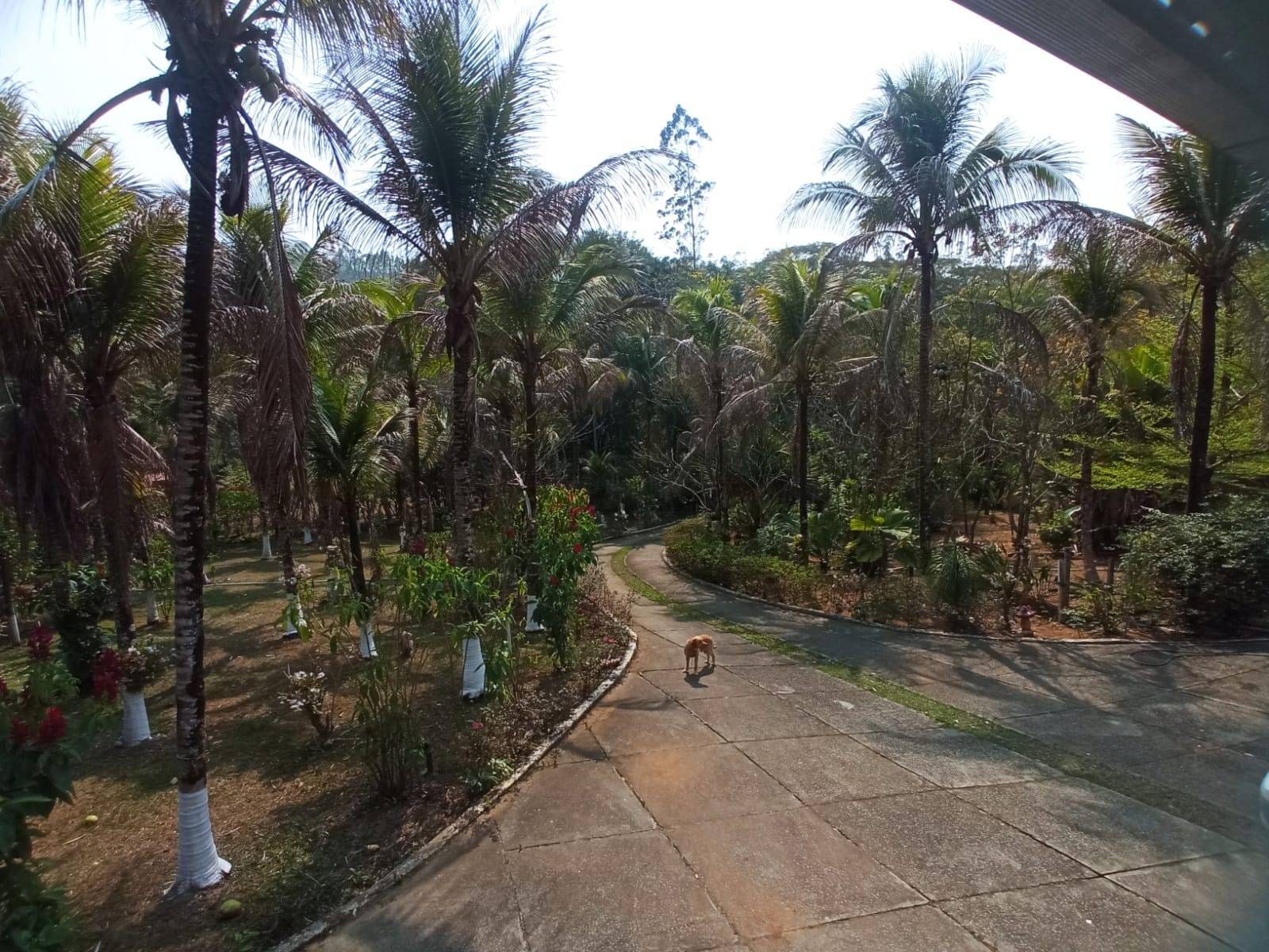 Sítio à venda, ZONA RURAL, Tabuleiro, MG - foto 8