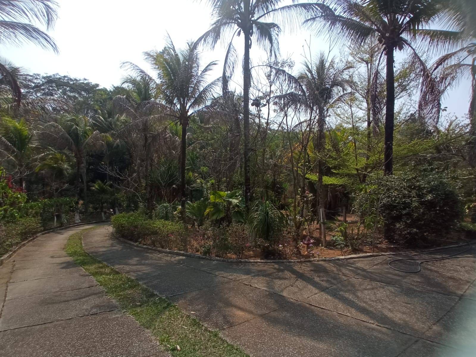 Sítio à venda, ZONA RURAL, Tabuleiro, MG - foto 9
