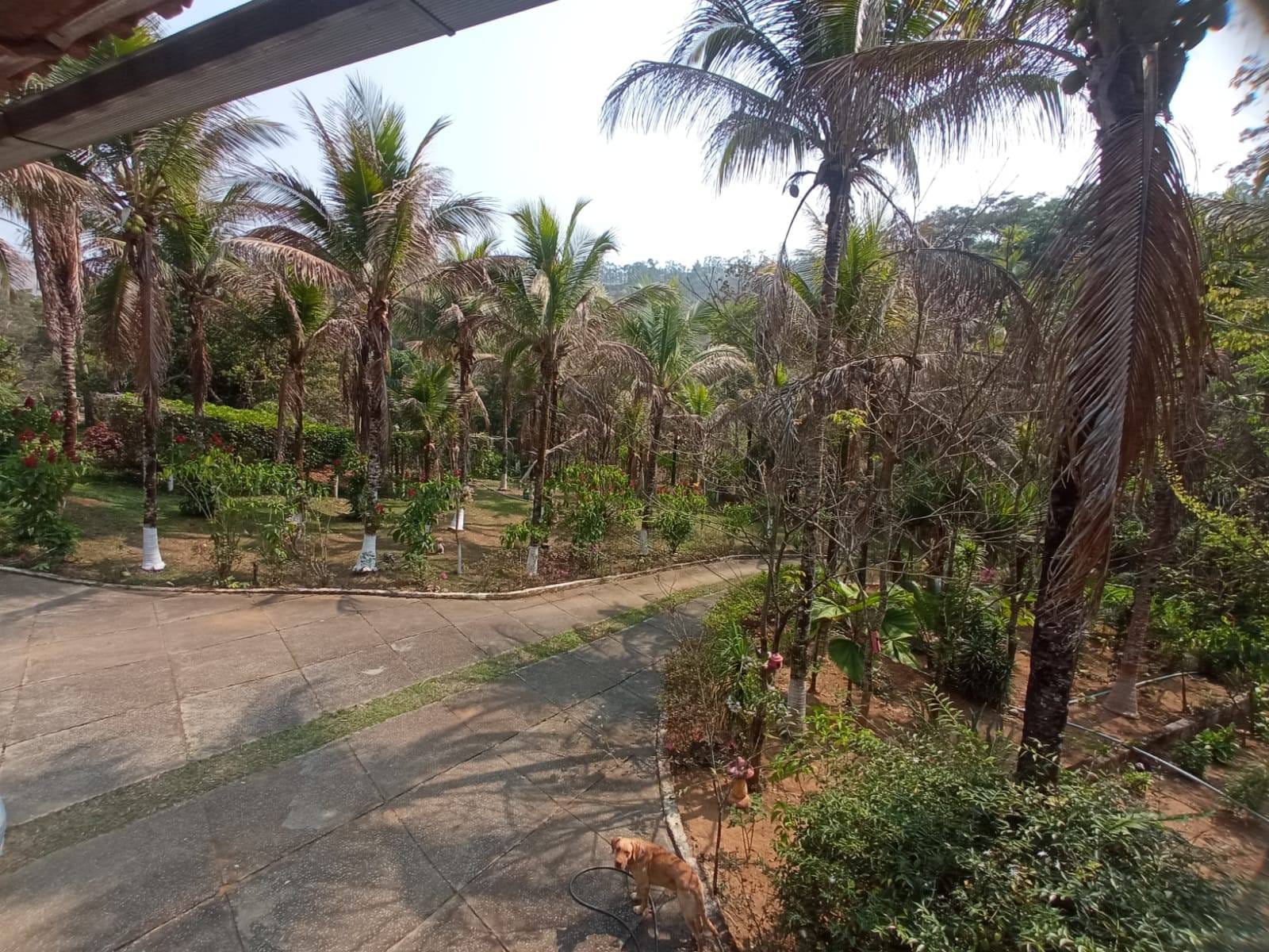 Sítio à venda, ZONA RURAL, Tabuleiro, MG - foto 10