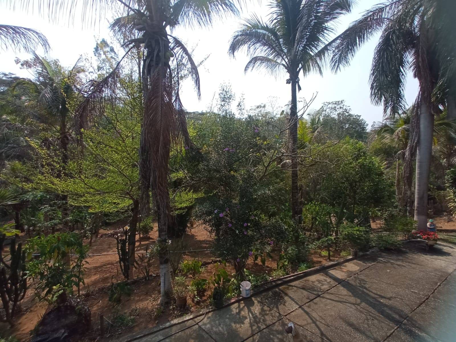 Sítio à venda, ZONA RURAL, Tabuleiro, MG - foto 11