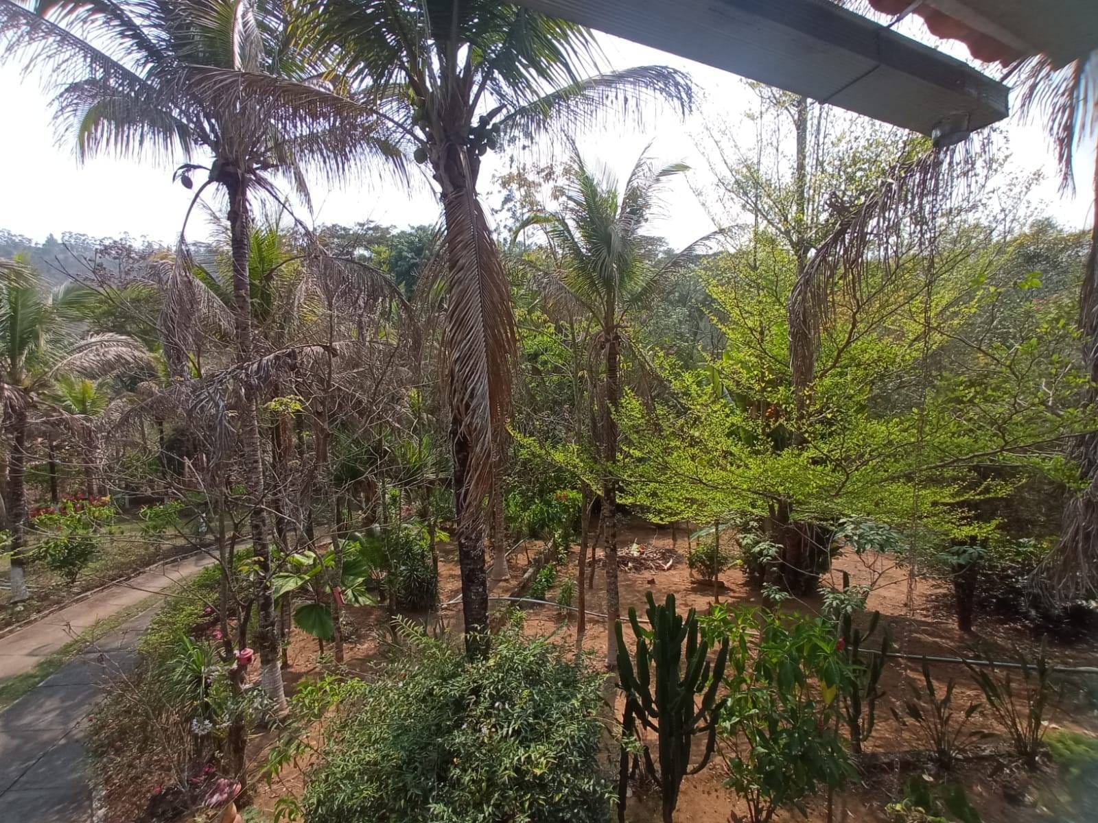 Sítio à venda, ZONA RURAL, Tabuleiro, MG - foto 12