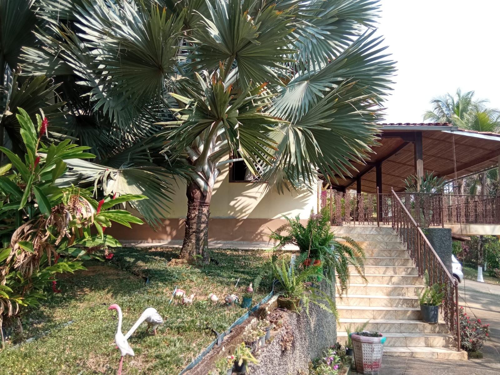 Sítio à venda, ZONA RURAL, Tabuleiro, MG - foto 14