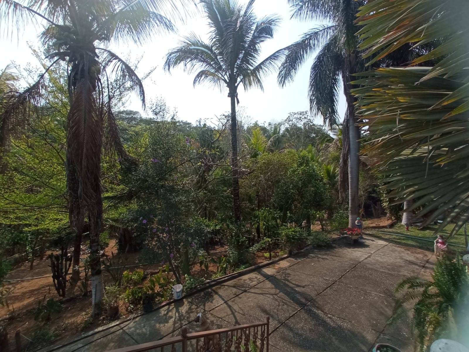 Sítio à venda, ZONA RURAL, Tabuleiro, MG - foto 16