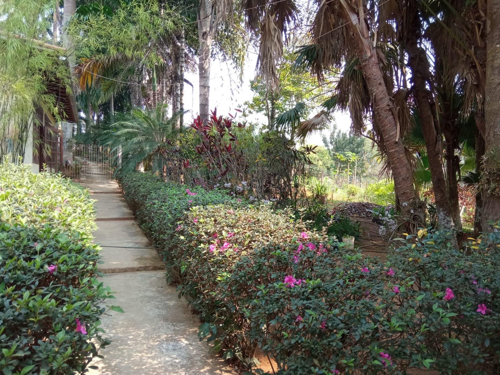 Sítio à venda, ZONA RURAL, Tabuleiro, MG - foto 17