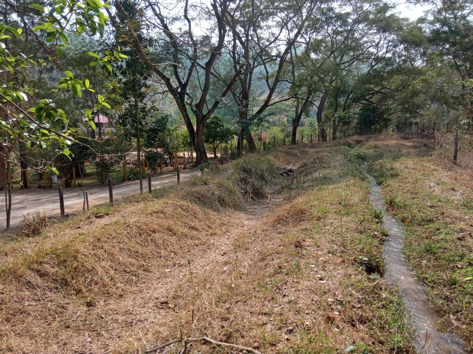 Sítio à venda, ZONA RURAL, Tabuleiro, MG - foto 24