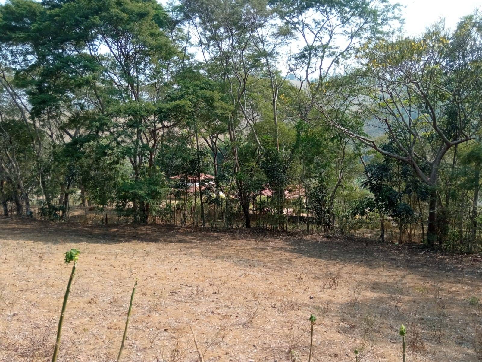 Sítio à venda, ZONA RURAL, Tabuleiro, MG - foto 29