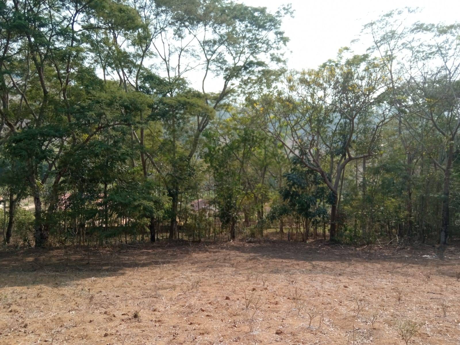 Sítio à venda, ZONA RURAL, Tabuleiro, MG - foto 30