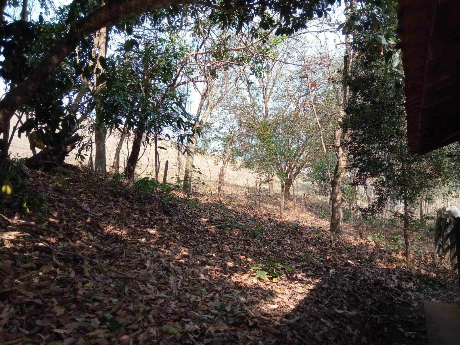Sítio à venda, ZONA RURAL, Tabuleiro, MG - foto 31