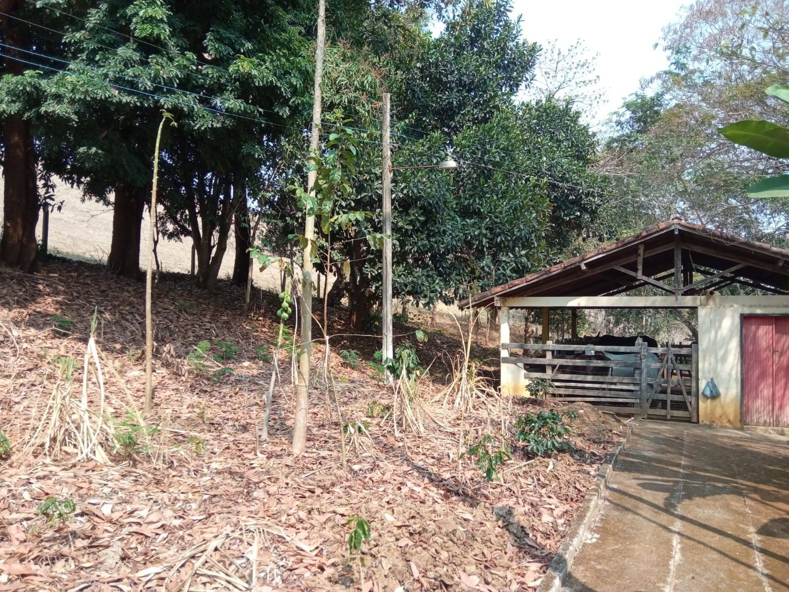 Sítio à venda, ZONA RURAL, Tabuleiro, MG - foto 32