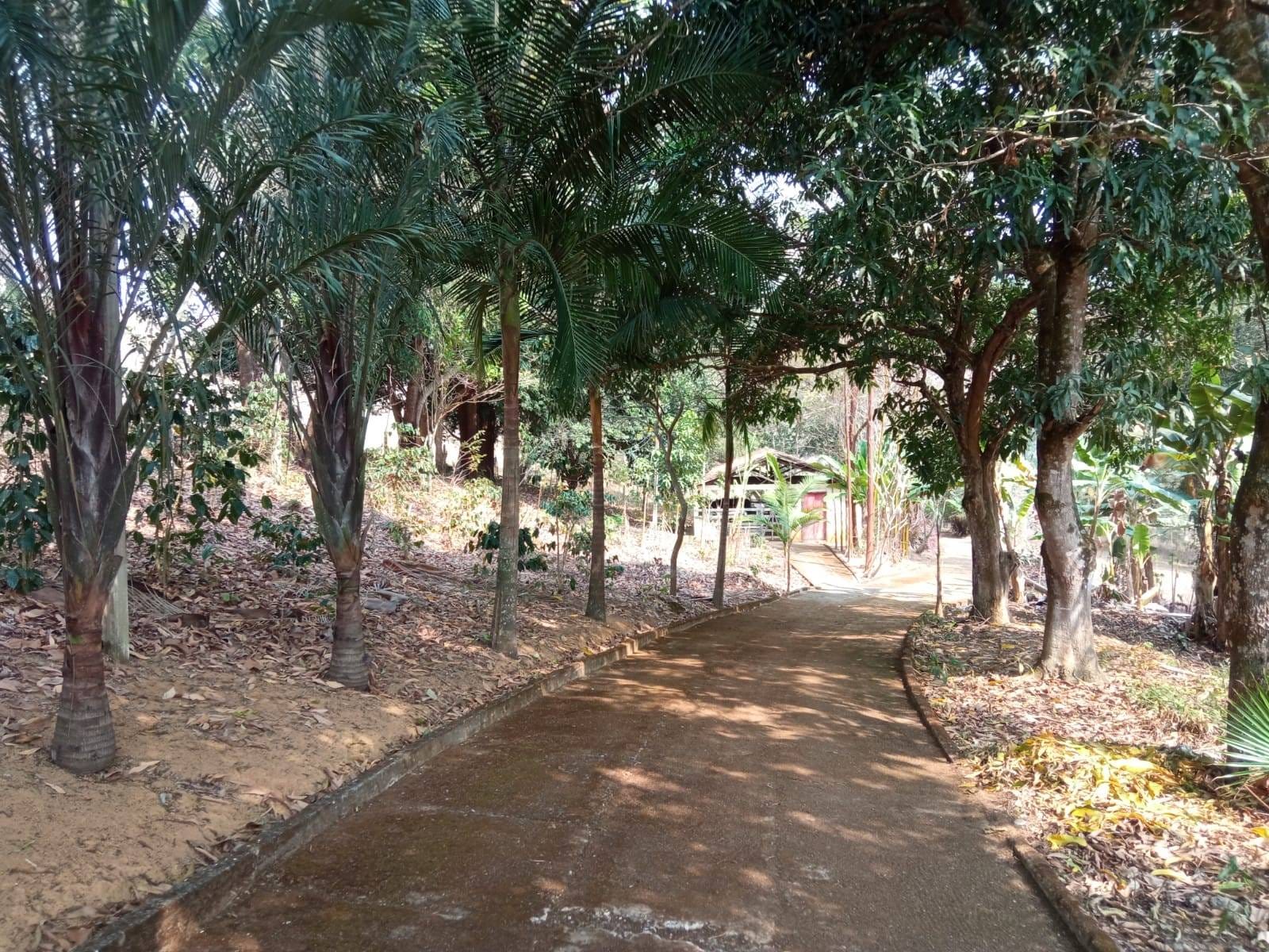 Sítio à venda, ZONA RURAL, Tabuleiro, MG - foto 33