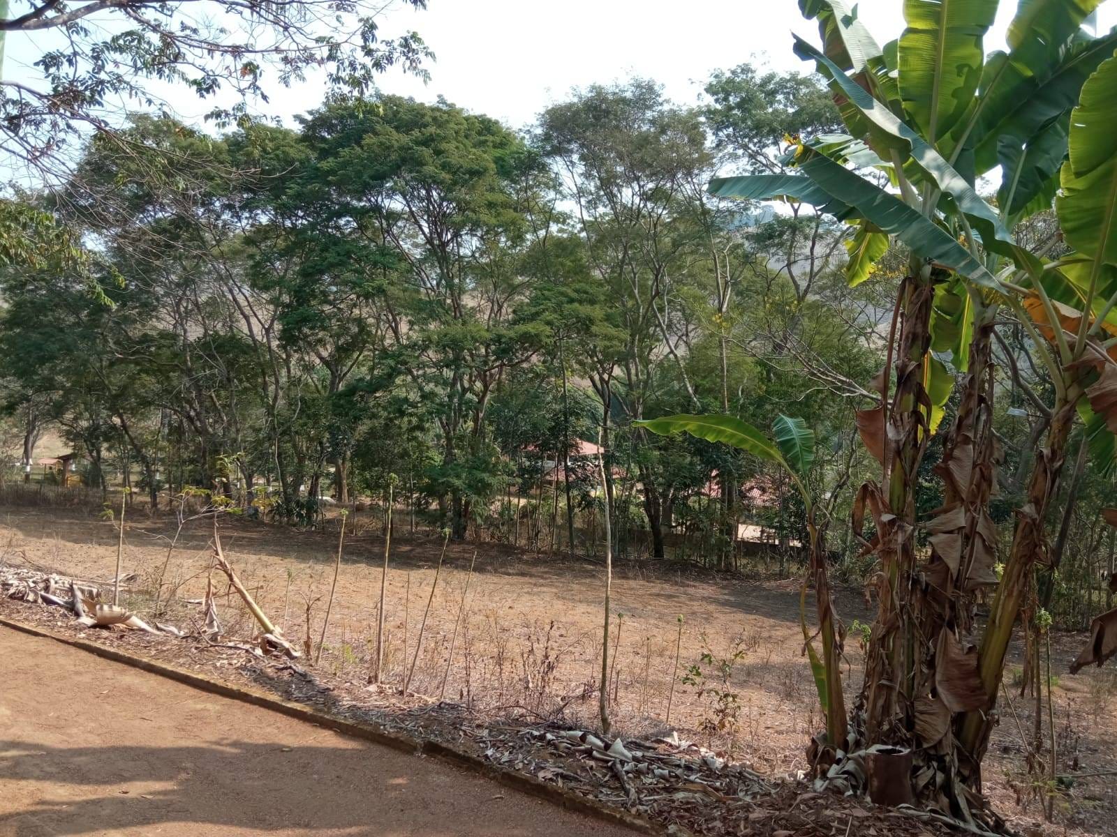 Sítio à venda, ZONA RURAL, Tabuleiro, MG - foto 34