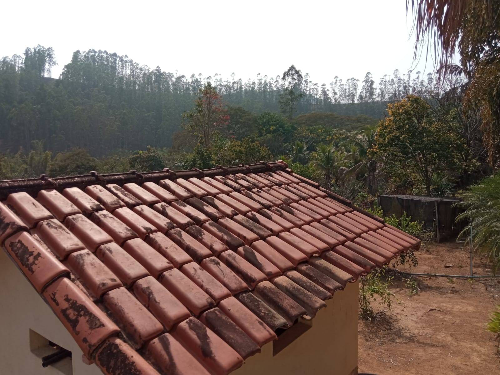 Sítio à venda, ZONA RURAL, Tabuleiro, MG - foto 43
