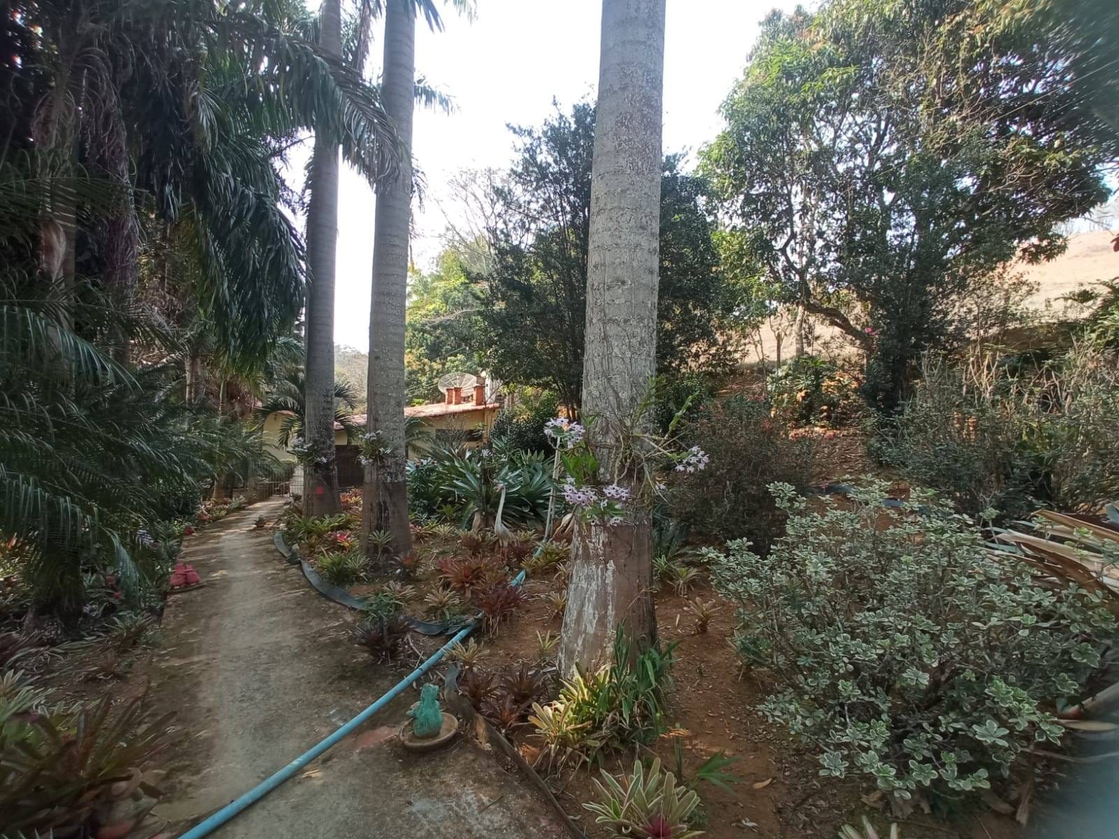 Sítio à venda, ZONA RURAL, Tabuleiro, MG - foto 51