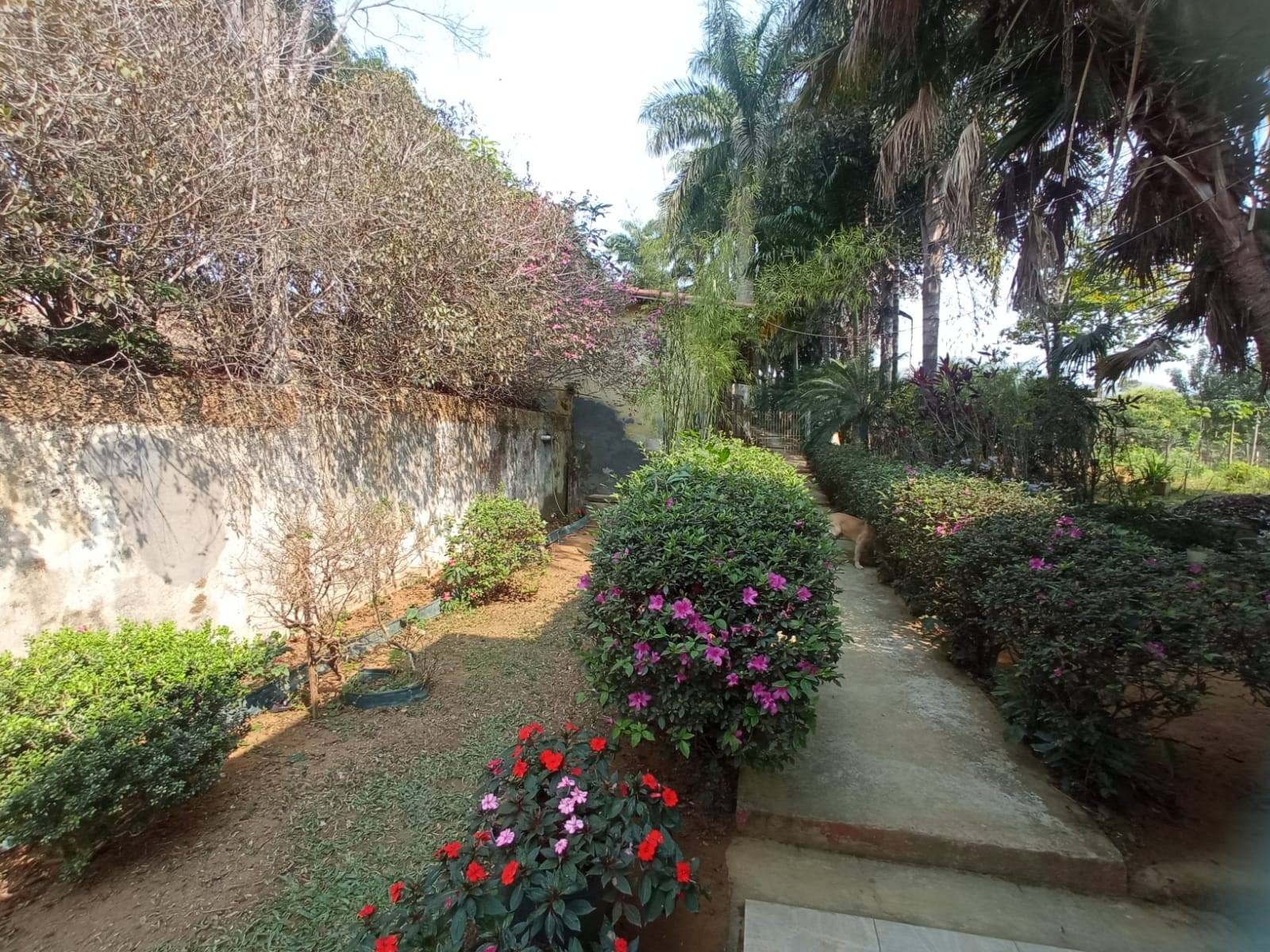 Sítio à venda, ZONA RURAL, Tabuleiro, MG - foto 52