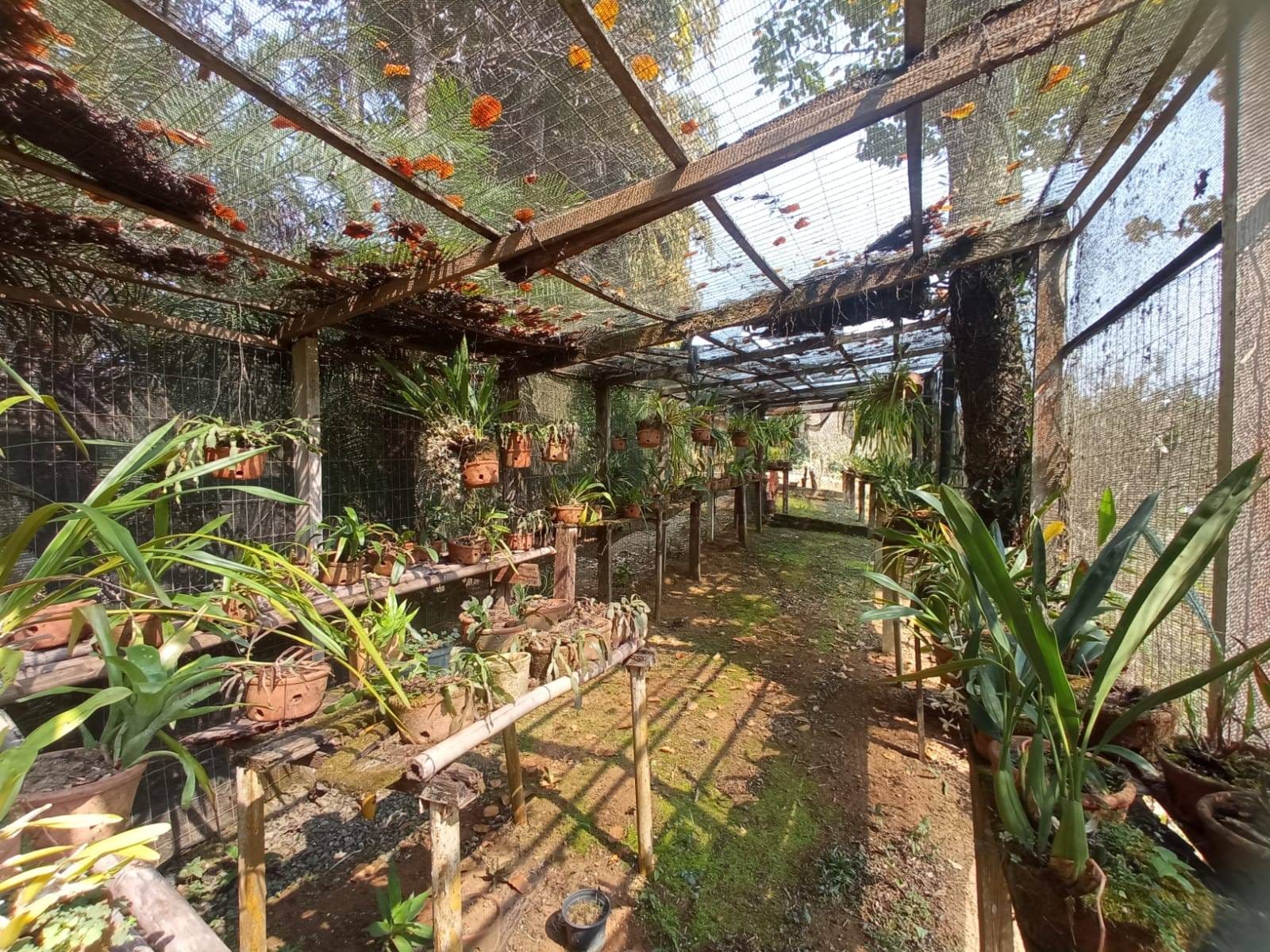 Sítio à venda, ZONA RURAL, Tabuleiro, MG - foto 55