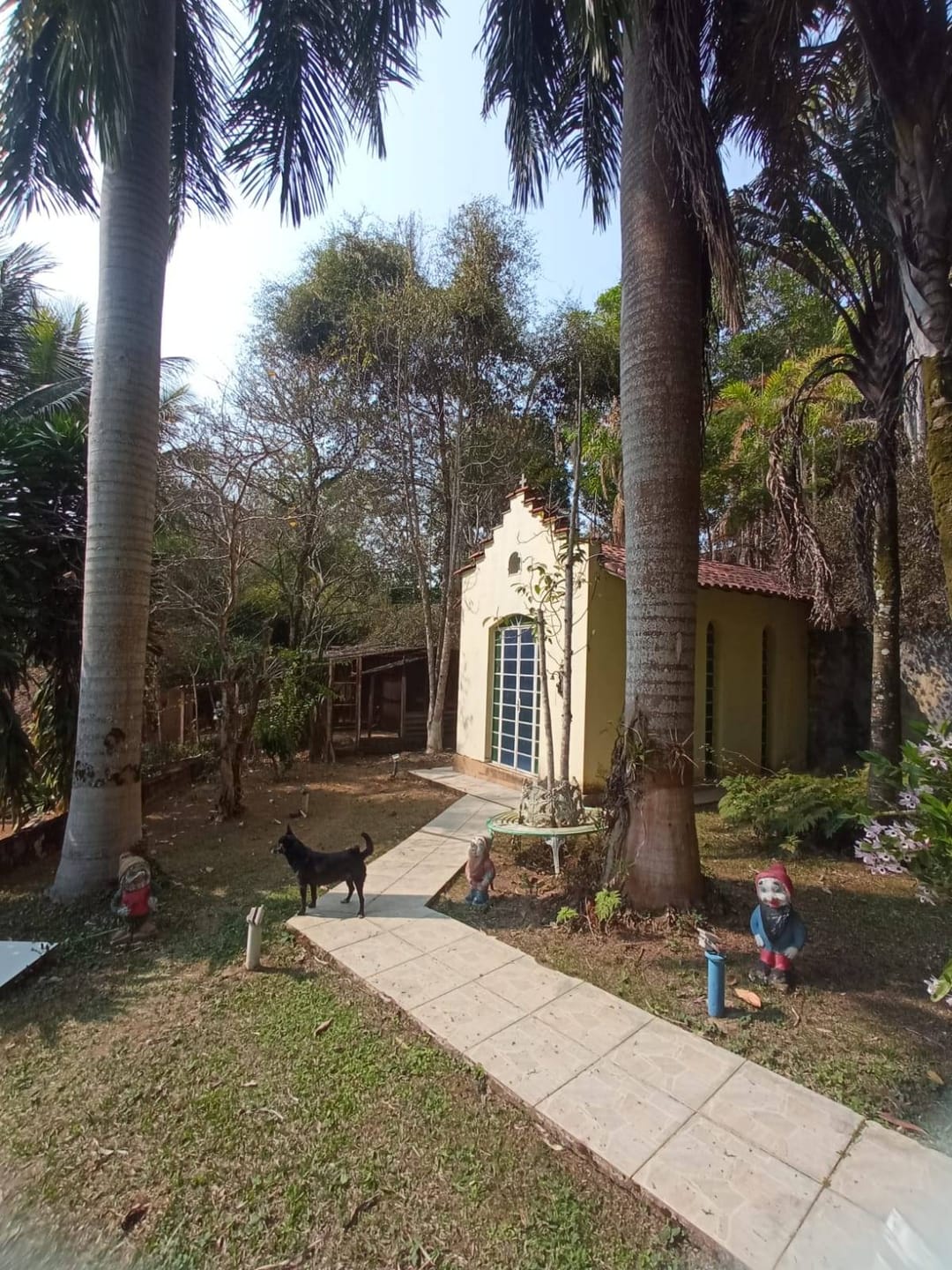 Sítio à venda, ZONA RURAL, Tabuleiro, MG - foto 56