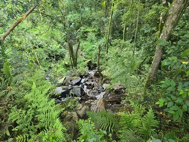 Sítio à venda, no bairro Colonia Santa Gabriela em Almirante Tamandaré