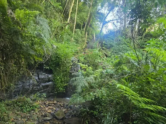 Sítio à venda, no bairro Colonia Santa Gabriela em Almirante Tamandaré