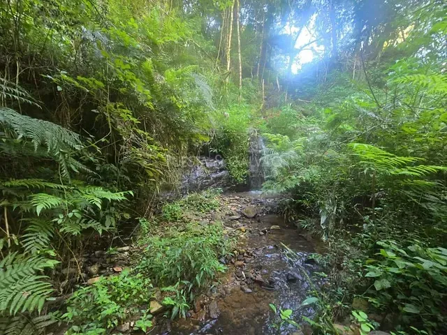 Sítio à venda, no bairro Colonia Santa Gabriela em Almirante Tamandaré