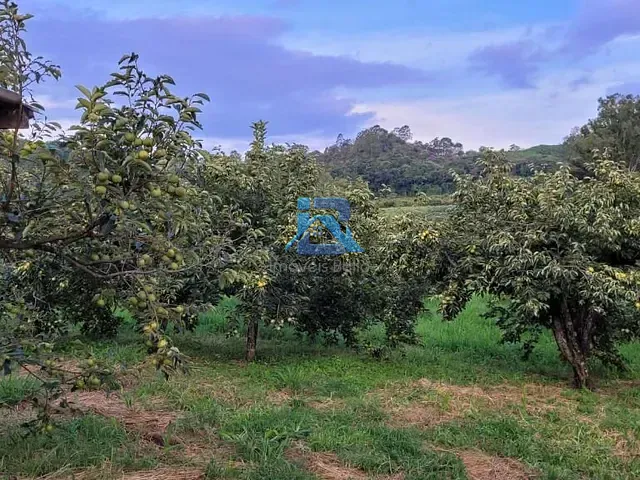 Sítio com 96670m² 8 quartos e 3 banheiros, à venda, no bairro Mombuca em Itatiba