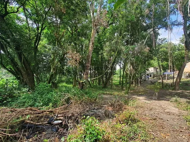 Sítio com 42026m², à venda, no bairro Próximo ao Condomínio Lagoinha em Jacareí