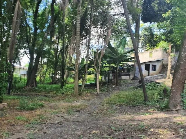 Sítio com 42026m², à venda, no bairro Próximo ao Condomínio Lagoinha em Jacareí