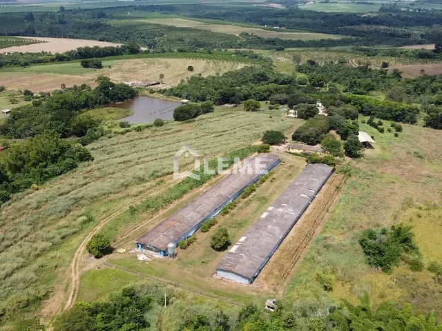 Sítio com 70000m² 1 quarto e 1 banheiro, à venda, no bairro Rural em Casa Branca