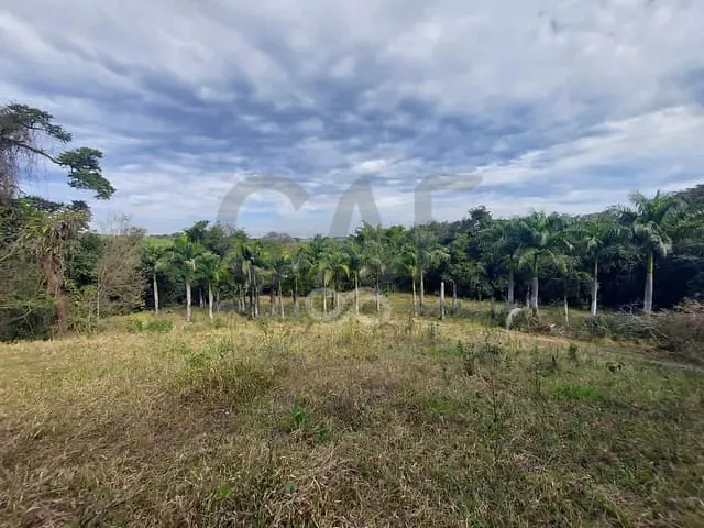 Sítio com 76000m², à venda, no bairro Borda da Mata em Jaguariúna