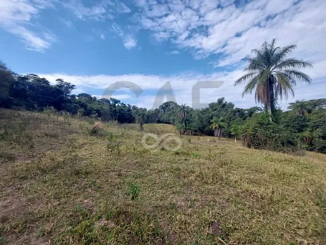 Sítio com 76000m², à venda, no bairro Borda da Mata em Jaguariúna