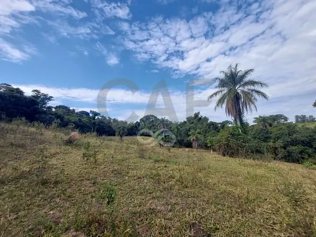Sítio com 76000m², à venda, no bairro Borda da Mata em Jaguariúna