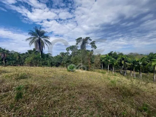 Sítio com 76000m², à venda, no bairro Borda da Mata em Jaguariúna