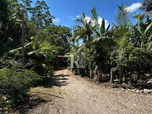 Sítio com 129259m² 4 quartos e 2 banheiros, à venda, no bairro Oliveira em Tijucas