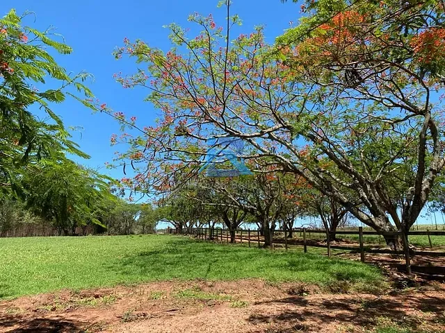 Sítio com 84600m² 9 quartos e 5 banheiros, à venda, no bairro Centro em Boa Esperança do Sul